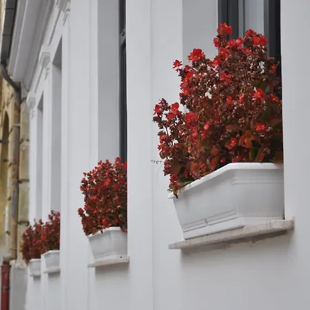 Konukevi Vendeghaz İstolni Belgrad