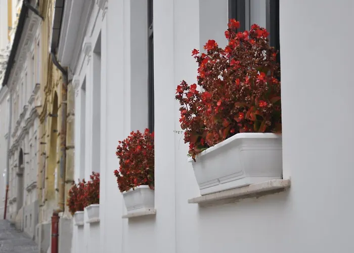 Pensjonat Vendeghaz Székesfehérvár